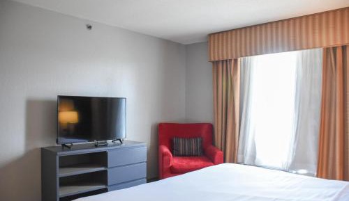 King Suite with Sofa Bed