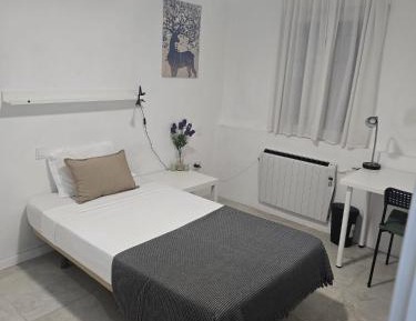 Single Room with Shared Bathroom