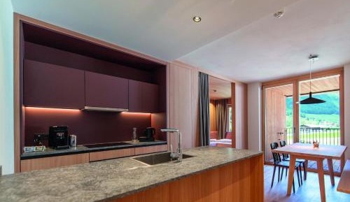 One-Bedroom Apartment with View