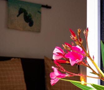 Suite with Garden View