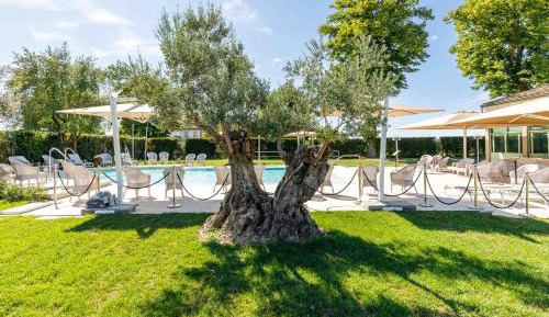 Suite with Pool View