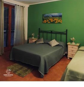 Triple Room with Private Bathroom