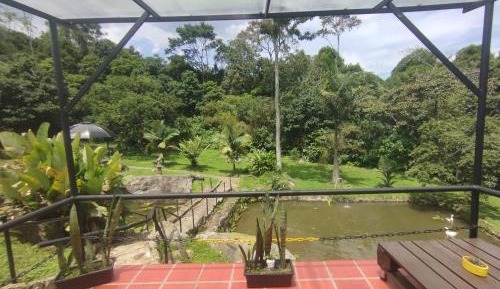 Double Room with Park View