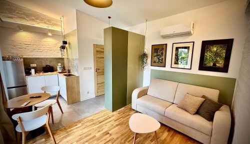 Studio with Sofa Bed
