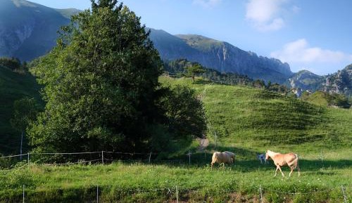Family Room with Private Bathroom