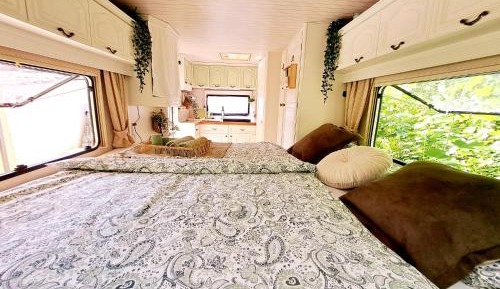 Apartment with Garden View