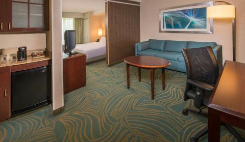 King Studio with Sofa Bed and Roll-in Shower - Mobility and Hearing Accessible