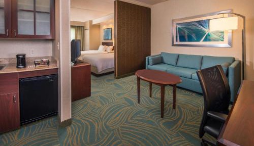 Studio Queen Suite with Sofa Bed - Mobility/Hearing Accessible with Tub