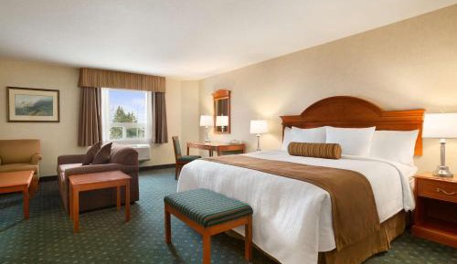 Superior King Studio Suite - Non-Smoking