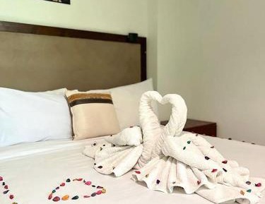Twin Room with View