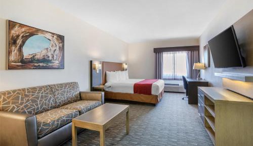 King Room with Roll-In Shower - Disability Access