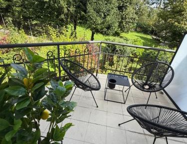 Deluxe One-Bedroom Apartment with Garden View