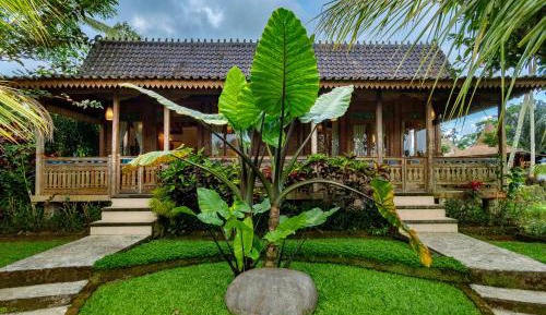 Superior Room with Rice Field View
