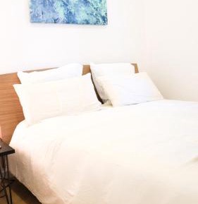 One-Bedroom Deluxe Apartment