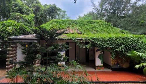 King Room with Garden View