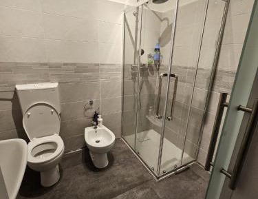 Deluxe One-Bedroom Apartment