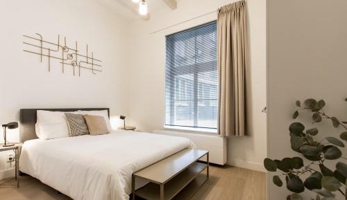 Deluxe One-Bedroom Apartment