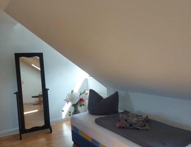 Basic Triple Room with Shared Bathroom