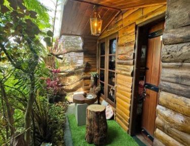 Deluxe Double Room (2 Adults + 1 Child)