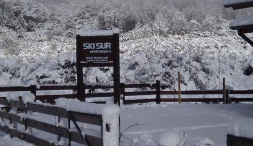 Deluxe Three-Bedroom Apartment