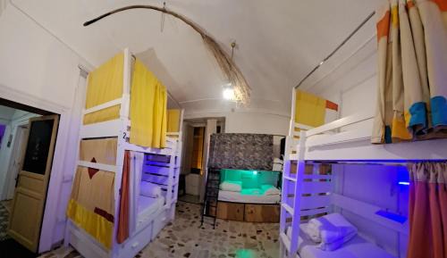 Bed in 6-Bed Dormitory Room