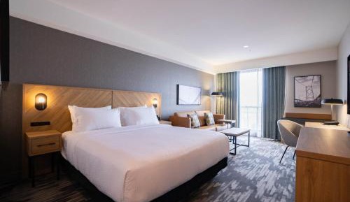 Standard Room, 1 King Bed, Sofa Bed