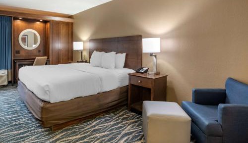 Standard King Room