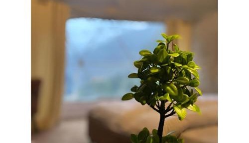 Double Room with Mountain View