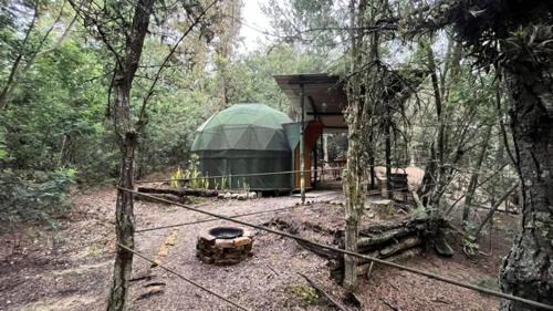Family Room with Garden View