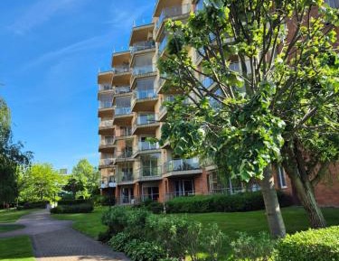 Two-Bedroom Apartment with View