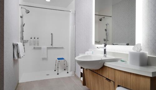 King Suite with Sofa Bed - Mobility Accessible with Transfer Shower