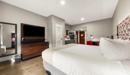 One-Bedroom Suite with One Queen Bed and Full Kitchen - Mobility Accessible/Non-Smoking