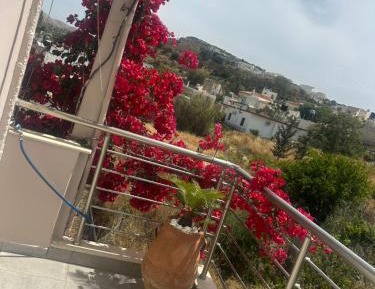 Superior Double or Twin Room with Terrace