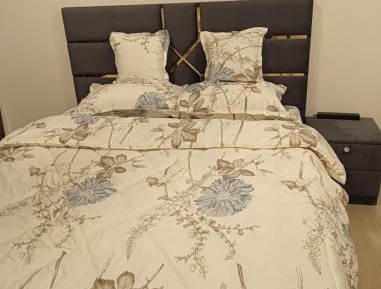 Double Room with Shared Bathroom