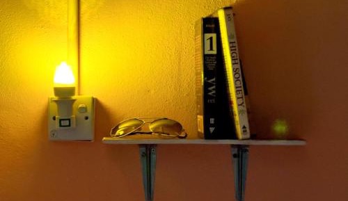 Bunk Bed in Mixed Dormitory Room