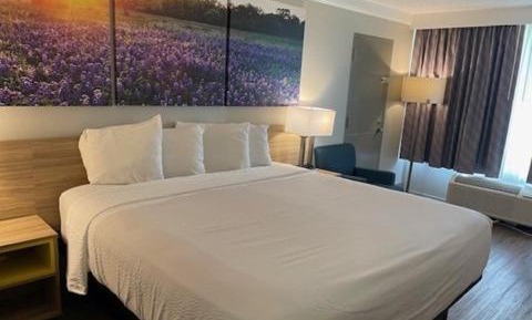 King Room - Non-Smoking