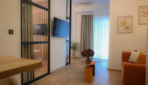 Deluxe One-Bedroom Apartment