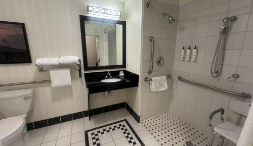 King Room with Roll-in Shower - Mobility and Hearing Accessible