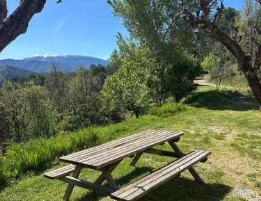 One-Bedroom Cottage (2 Adults)