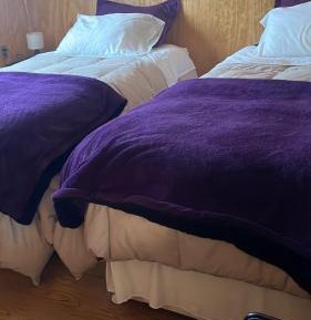 Double or Twin Room with Shared Bathroom