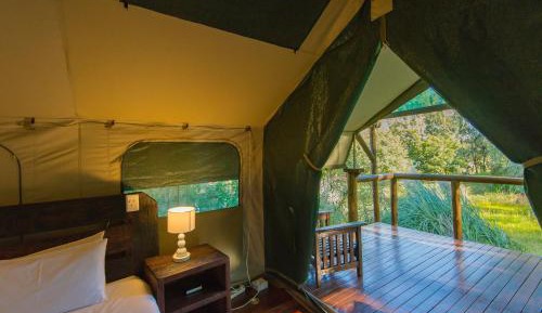 Safari Tent