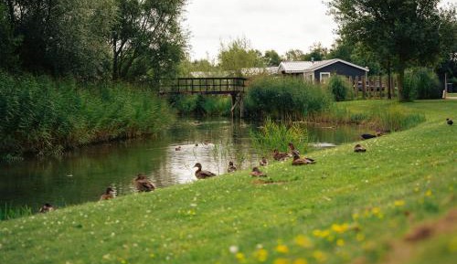 Standard Double Room with Terrace