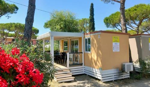 Mobile Home