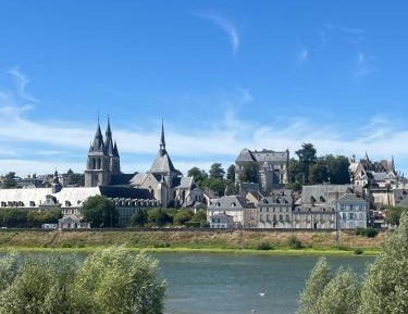 One-Bedroom Apartment with River View