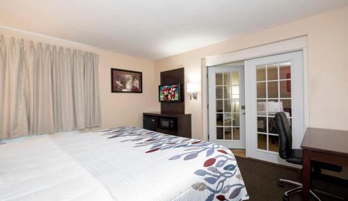Suite King Room Smoke Free