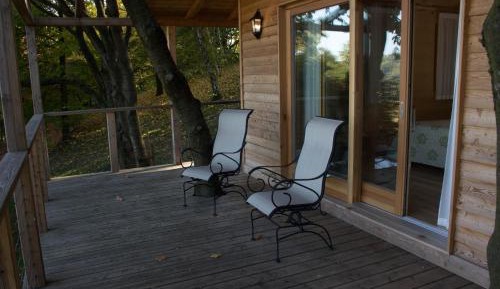 Junior Suite on the tree