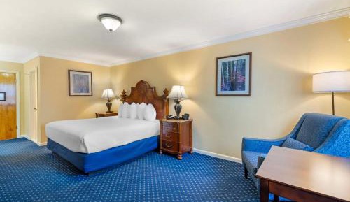 King Room - Pet Friendly/Non-Smoking