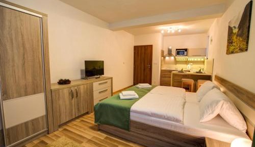 Standard Studio Apartment with Extra Bed