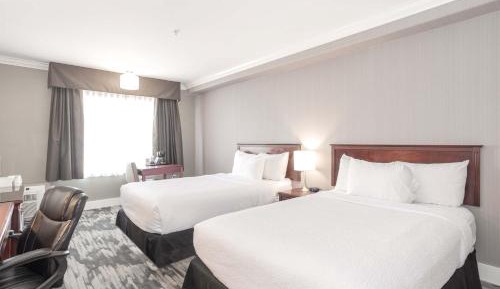 Standard Room, 2 Double Beds