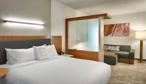 King Studio with Sofa Bed and Roll-in Shower - Mobility and Hearing Accessible